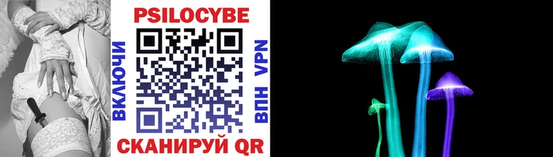 Купить закладки  Плавск  Псилоцибиновые грибы Psilocybe 